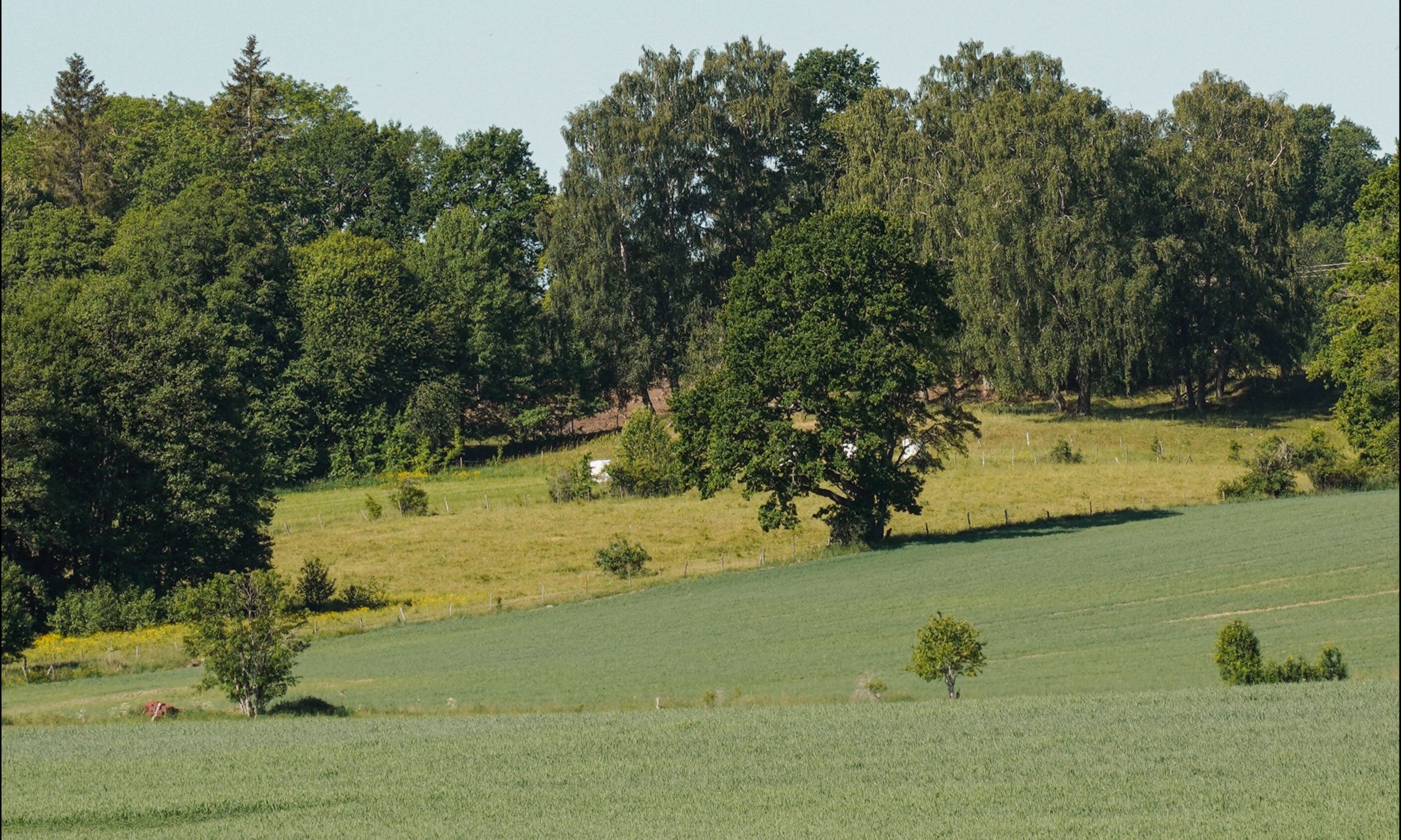 Val-de-Marne (94)