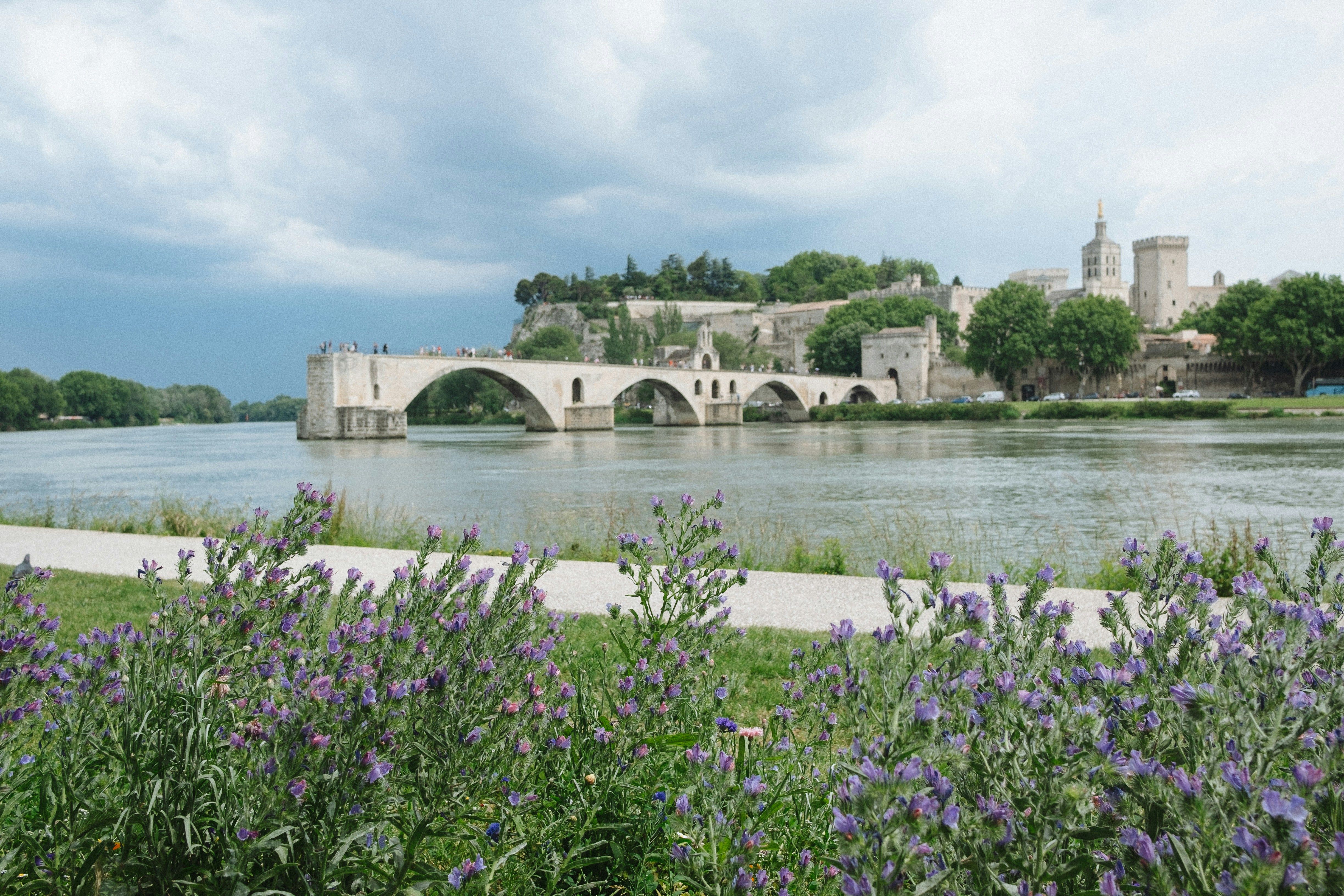 Vaucluse (84)