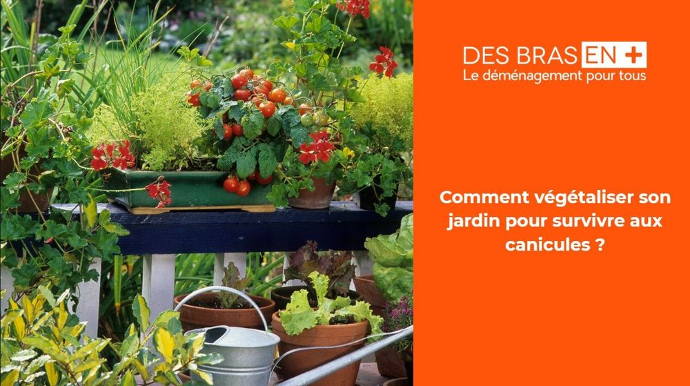 Jardin et canicules 2026