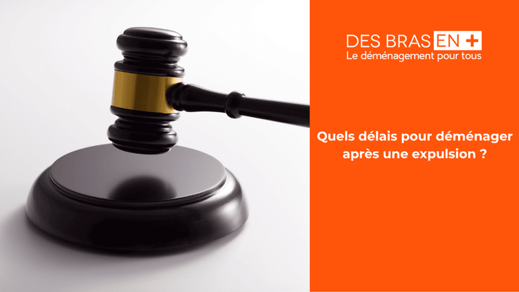 CarouselCard loi-kasbarian-berge-et-expulsion-quels-delais-pour-demenager