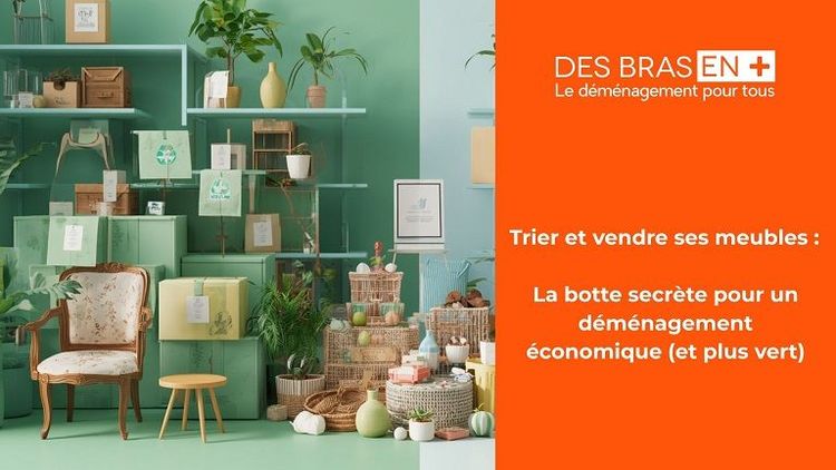 Cartons de déménagement alignés au sol et triés avec des étiquettes pour le don, la vente et le recyclage.