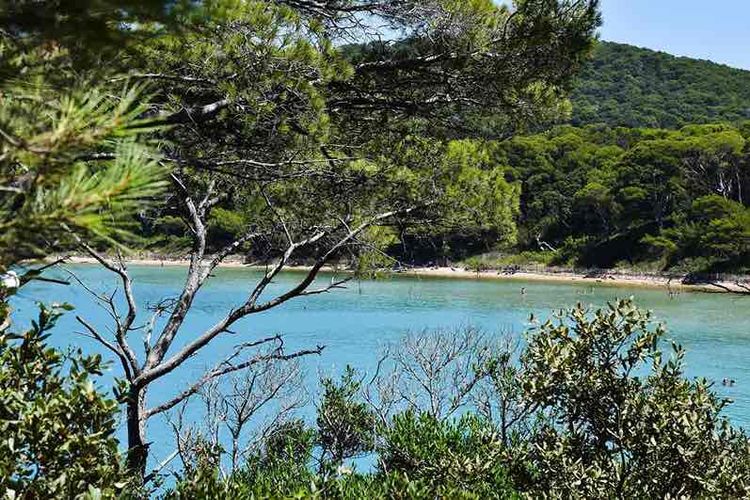 Déménager à Hyères, une ville avec beaucoup de nature
