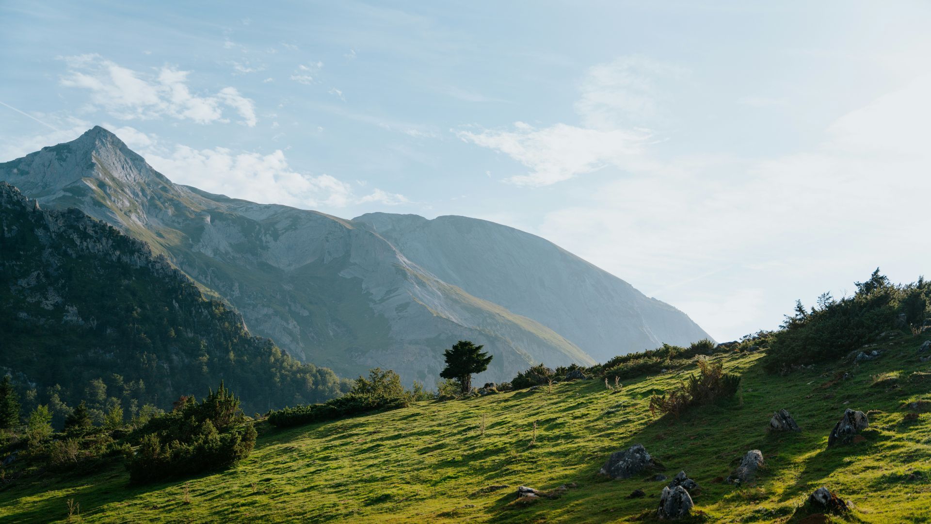 Pyrénées-Orientales (66)
