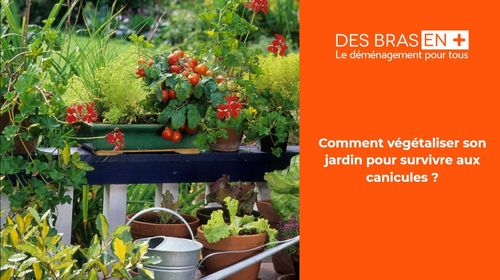 Jardin et canicules 2026