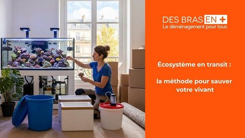 Un grand aquarium marin en eau, avec ses coraux, poissons et roches vives.